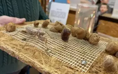 473666315_590303380525100_4365500774887930480_n