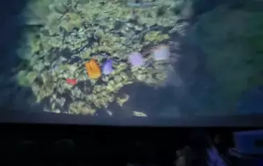 485727243_636426869246084_2287251771901032691_n