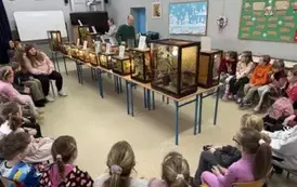 473769647_590302197191885_140817553122762186_n