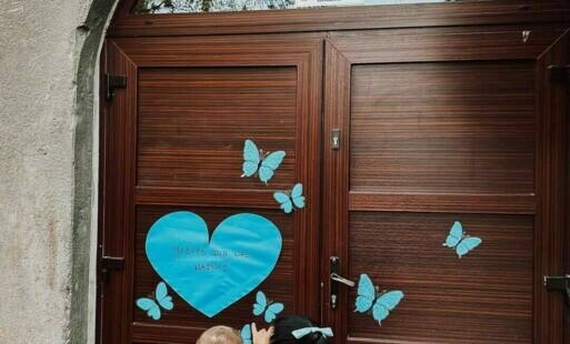 Zdjęcie do Motyl