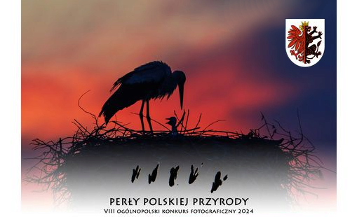 Zdjęcie do "Perły Polskiej Przyrody" - VIII Og&oacute;lnopolski konkurs fotograficzny 2024