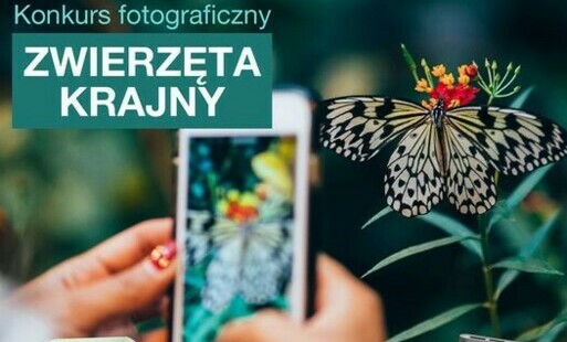 Zdjęcie do Konkurs Fotograficzny - Zwierzęta Krajny