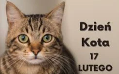 Zdjęcie do Dzień Kota