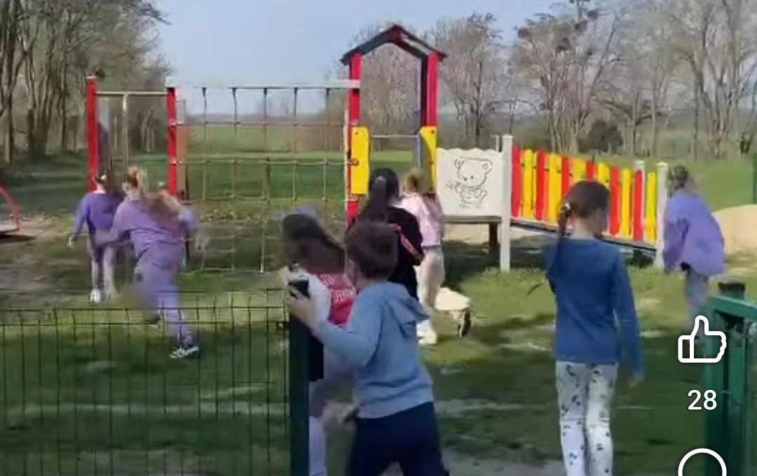 Zdjęcie do Gdzie ten zajączek?