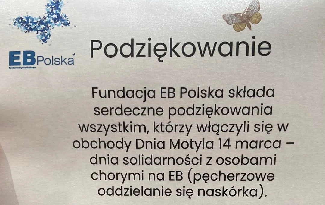 Zdjęcie do Dzień Motyla