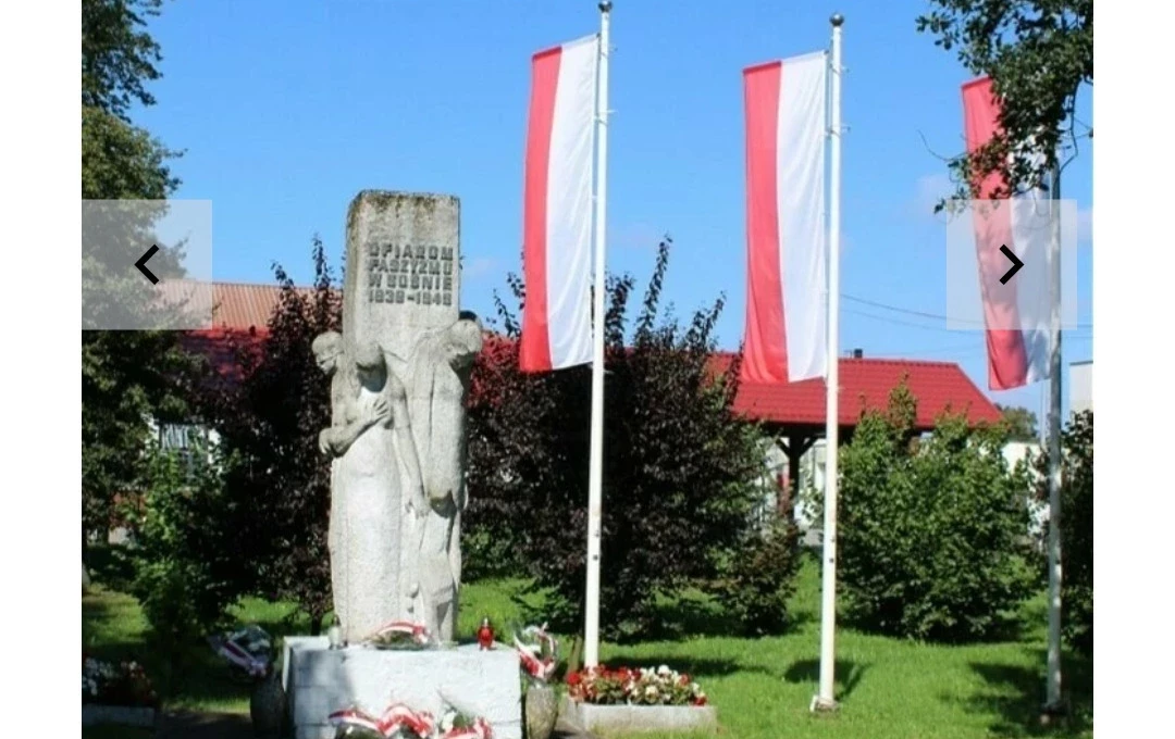 Zdjęcie do Sośno pamięta