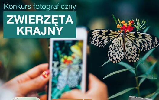 Zdjęcie do Konkurs Fotograficzny - Zwierzęta Krajny