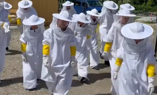 Zdjęcie do Wycieczka do Apisarium Bory Tocholskie